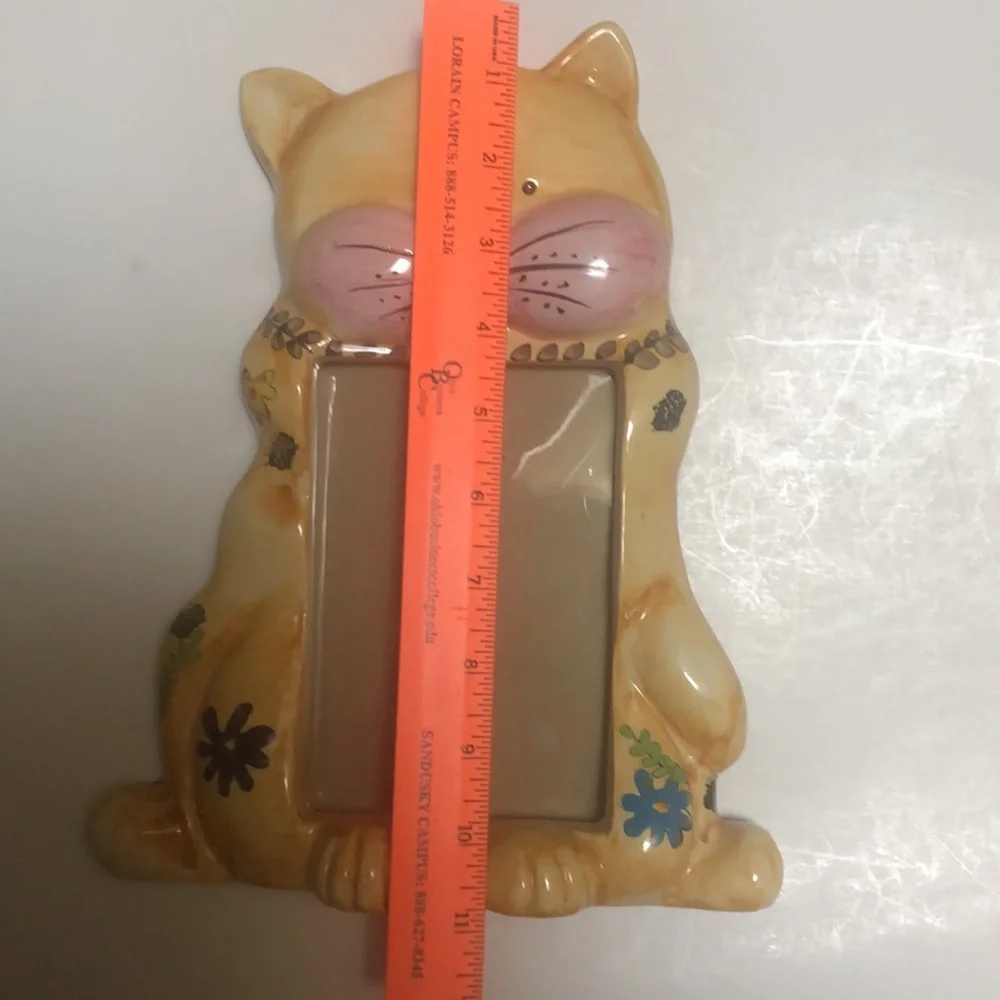 N/A kitty cat